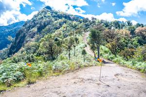 BIB: 
                            <button type="button" onclick="openModal(19041222)" class="btn btn-primary btn-sm float-right btn-popup" data-toggle="modal" data-target=".modal-high-quality">
                        <i class="fas fa-shopping-cart"></i> Add to Cart
                    </button>
                                            <button type="button" onclick="isThisMe(19041222, true)" class="btn btn-success btn-sm float-right btn-popup btn-isme hidden" data-toggle="tooltip" data-placement="bottom" title="นี่คือรูปของคุณใช่ไหม คลิกที่นี่เพื่อเอาเข้าอัลบั้ม">
                        <i class="fas fa-plus"></i> Add to album
                    </button>
                    <button type="button" onclick="isThisMe(19041222, false)" class="btn btn-warning btn-sm float-right btn-popup btn-isnotme hidden">
                        <i class="fas fa-ban"></i> Remove from album
                    </button>